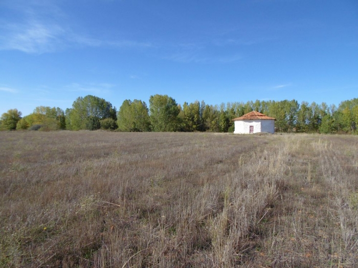 Foto ampliada