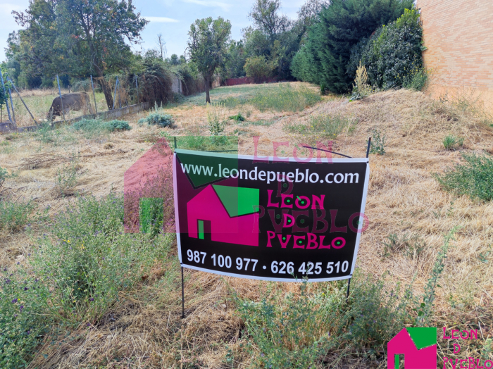 Foto ampliada