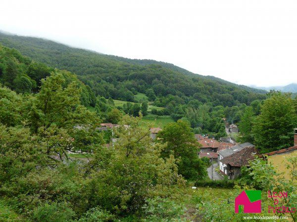 Foto ampliada